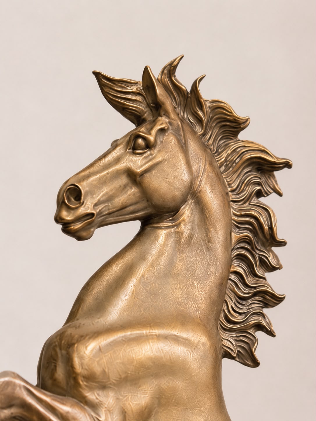 Beeld - Steigerend paard